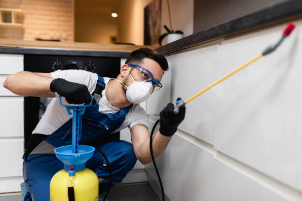 Best Bed Bug Extermination  in Helmetta, NJ