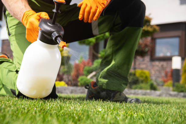Best Pest Inspection Near Me  in Helmetta, NJ