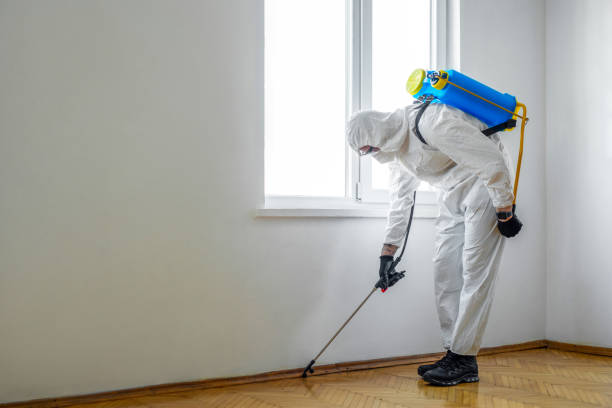 Best Cockroach Control Services  in Helmetta, NJ